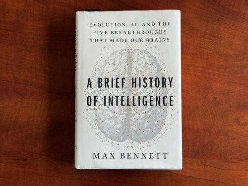 The Very, Very, Very Long Story of Intelligence